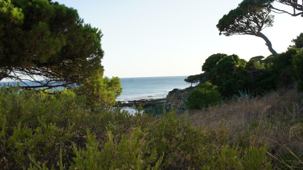 Luxurious T2 Apartment, Olhos Dagua Albufeira Exteriér fotografie